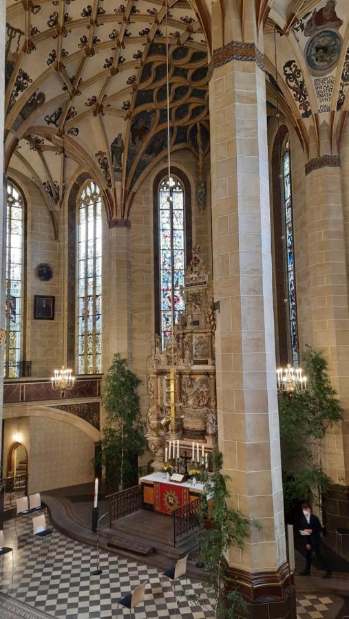 Pirna Altstadtgefluester المظهر الخارجي الصورة