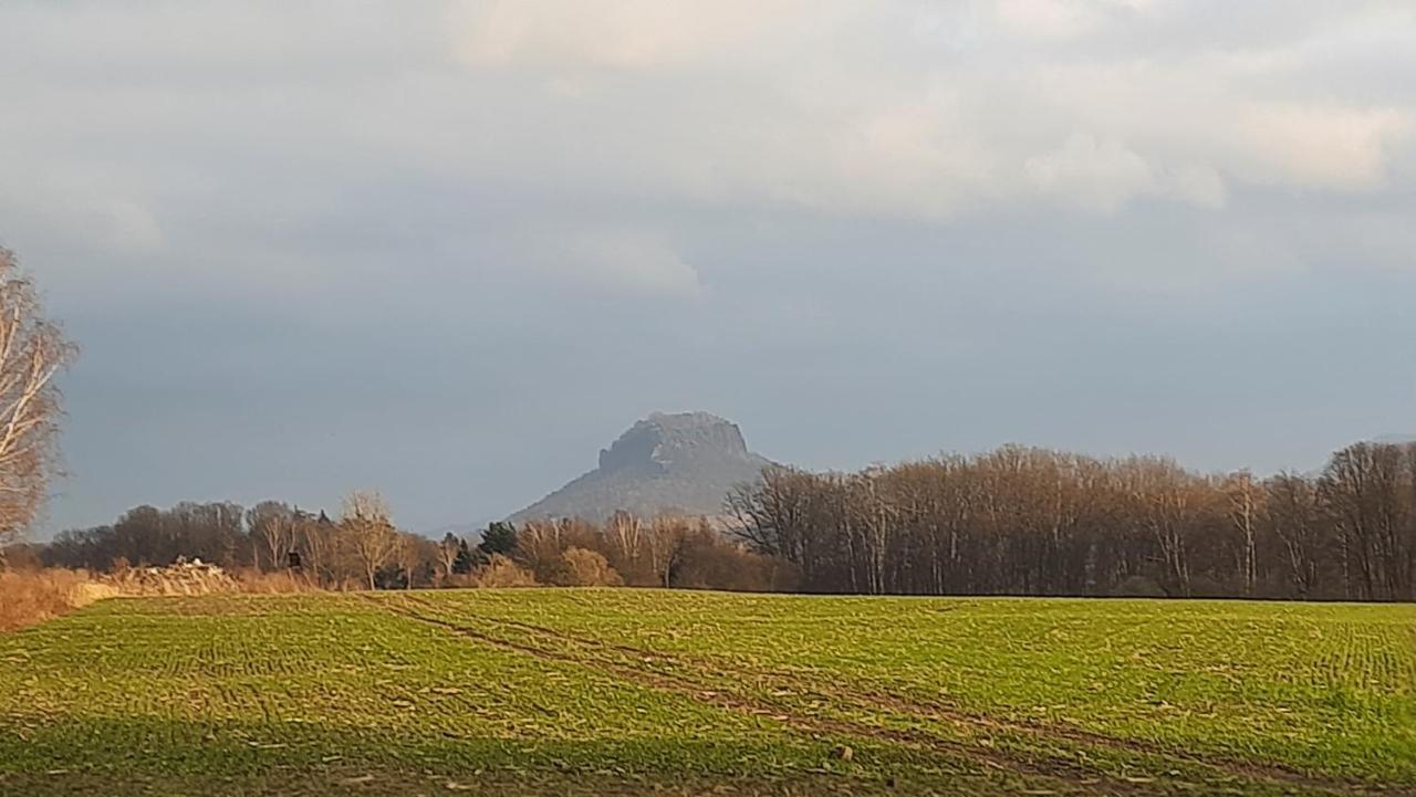 Pirna Altstadtgefluester المظهر الخارجي الصورة